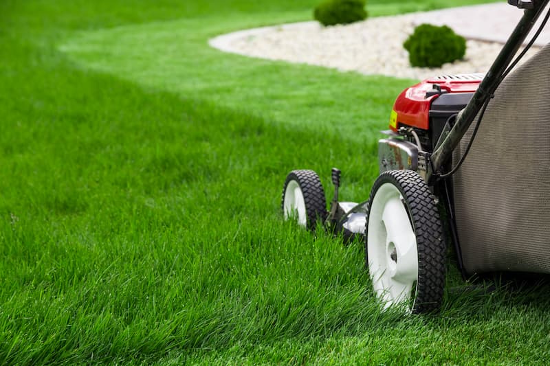 Why Our Professional Mowing Service Is Superior To DIY